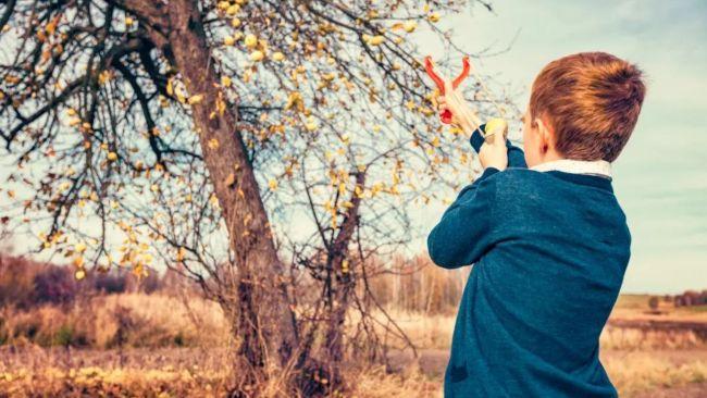 A 13-year-old Michigan boy has been hailed a hero after he used a slingshot to save his eight-year-old sister from an attempted kidnapping.Picture: iStock