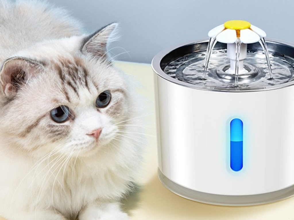 Cat Water Fountain. Picture: Amazon Australia.