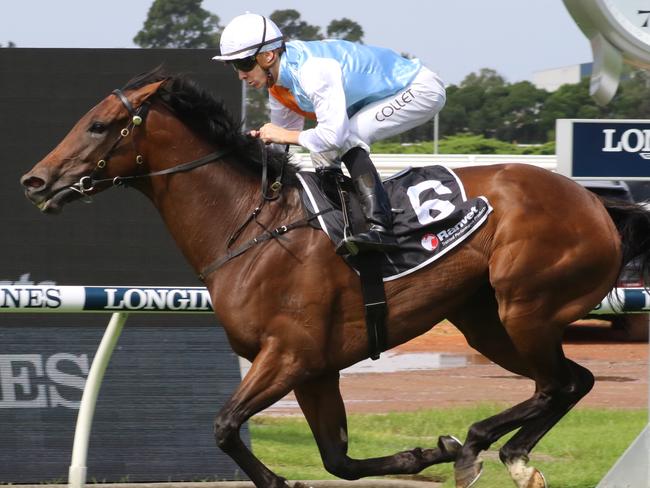 Trainer David Payne's talented mare Montefilia looks a great chance in Tuesday's Melbourne Cup. Picture: Grant Guy