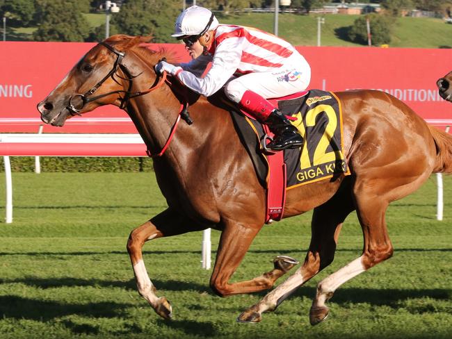 Giga Kick ridden by Craig Williams winning the Group 1 All Aged Stakes at Royal Randwick on April 15, 2023. Picture: Grant Guy