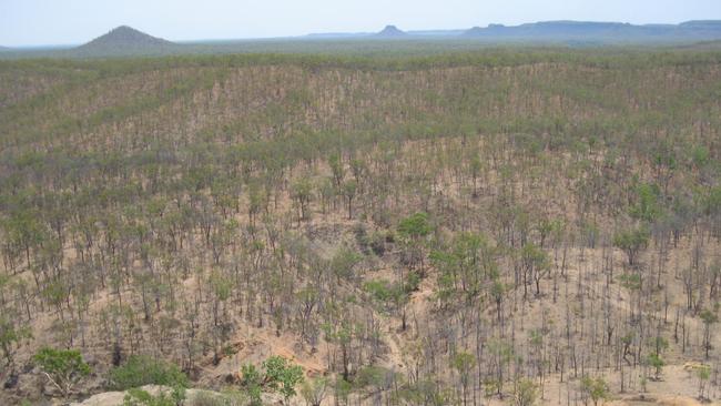 Aerial view of the Palmerville Station property where Bruce Schuler disappeared in July 2012 during a prospecting trip with friends.