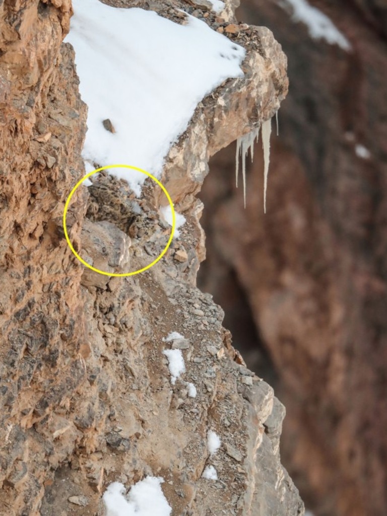 The snow leopard can hardly be seen on the rock.