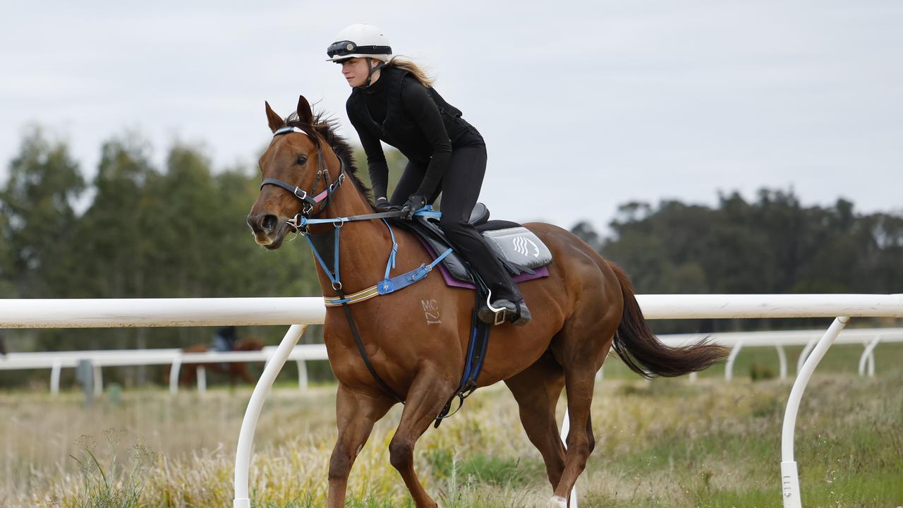 ‘Iron lady of racing’ to run on the world’s richest turf