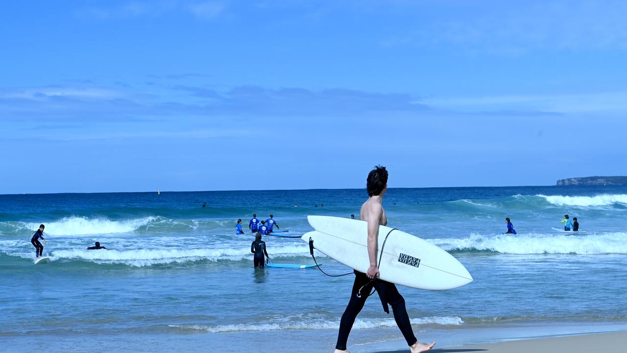 Debate is now raging about whether shark nets are necessary, after the large school was spotted at netted Palm Beach. Picture: NCA NewsWire / Jeremy Piper