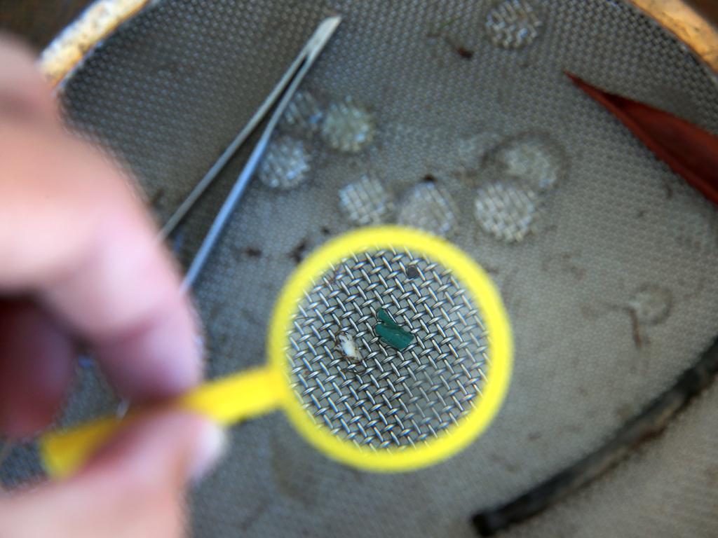 Dr Jennifer Laver, Research Scientist, Institute for Marine &amp; Antarctic Studies Consulting Scientist, Boomerang Alliance, displays micro plastic pollution. Picture: Justin Brierty