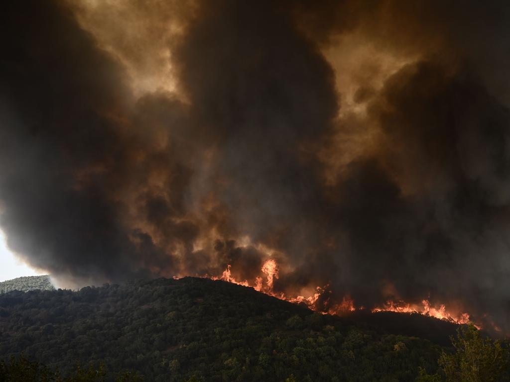 Wildfire rages in a forest in Sikorahi, near Alexandroupoli, northern Greece. Picture: AFP