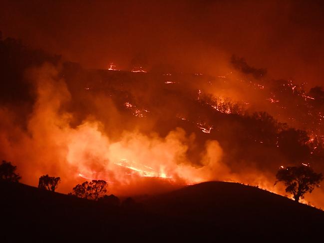 Bushfires have raged across Australia, causing death and destruction. Picture: Sam Mooy/Getty