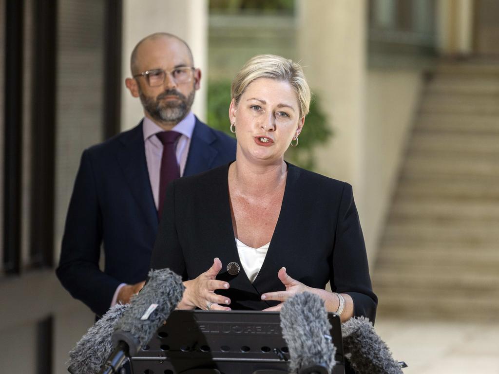 Minister for Child Safety Amanda Camm and Treasurer David Janetzki speak to the media at Queensland Parliament. Picture: Richard Walker