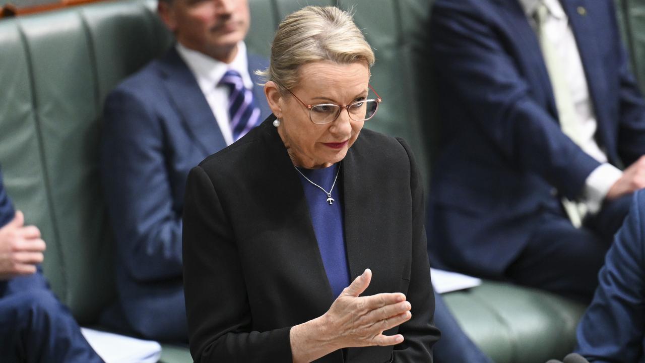 Deputy Liberal Leader Sussan Ley said tech companies could be compelled to work with age bans. Picture: NewsWire / Martin Ollman