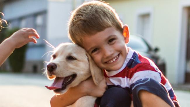 SMART Daily. Pets. Beautiful kids playing with their puppy. Boy and girl are on the street on sunset with small Labrador. Picture: iStock