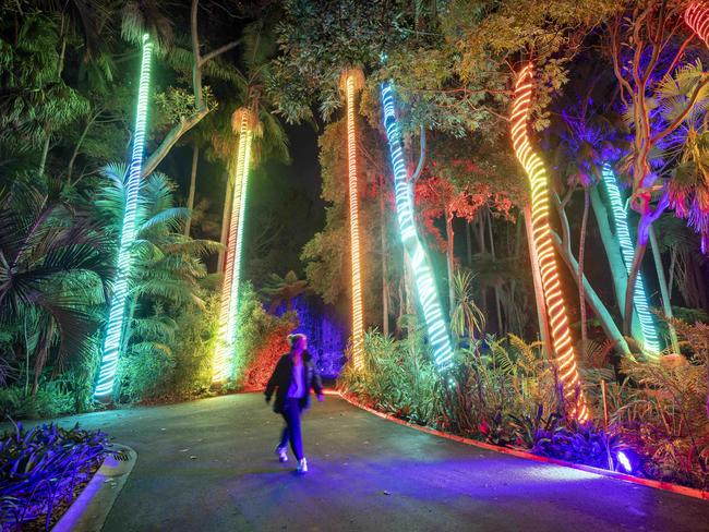 In incoming boss of the Royal Botanical Gardens is a fan of the Lightscape event