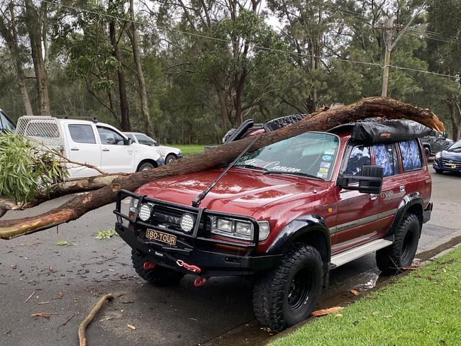 A parked Toyota Landcruiser was crushed by a fallen tree limb on Garden St, North Narrabeen during high winds gusting up to 54km/h on Thursday afternoon. Picture: Supplied