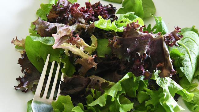 Experts expect many people to turn to more old-fashioned heads of lettuce amid the salmonella scare.