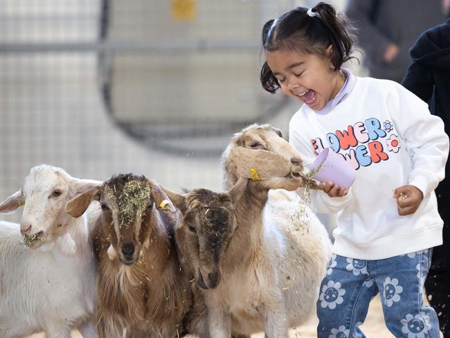 Kids have fun together at the Melbourne Royal Show. The country festival takes place until October 1 and is expected to attract up to half a million people. Picture: Jason Edwards