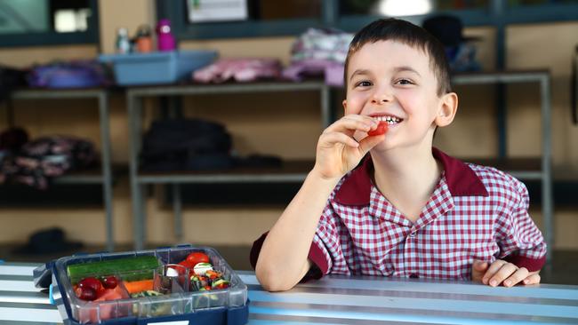 St Michael's grade one student Darcy Day, 6, is the Queensland winner of nationwide competition to find Australia's healthiest lunch box. Picture: Brendan Radke