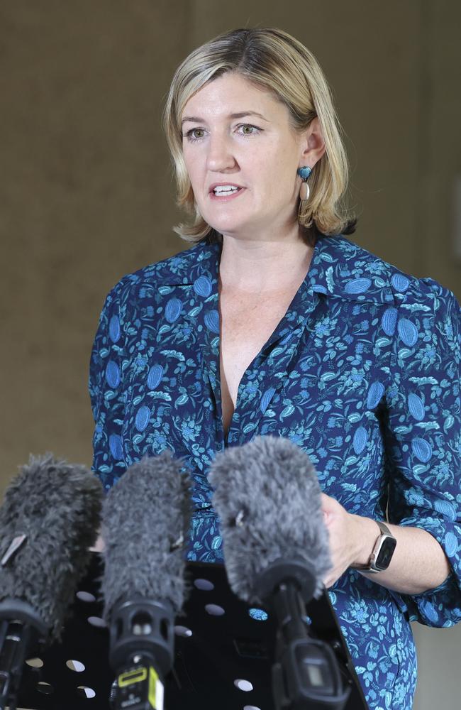 Shadow Health Minister Shannon Fentiman speaks to the media at Queensland Parliament, Brisbane, Sunday, January 5, 2025 - Picture: Richard Walker