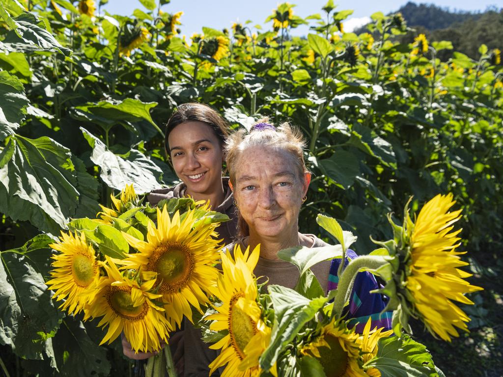 Ashleigh Pereira (left) and Kylie Sharpley at the picnic with the sunflowers event hosted by Ten Chain Farm, Saturday, June 8, 2024. Picture: Kevin Farmer