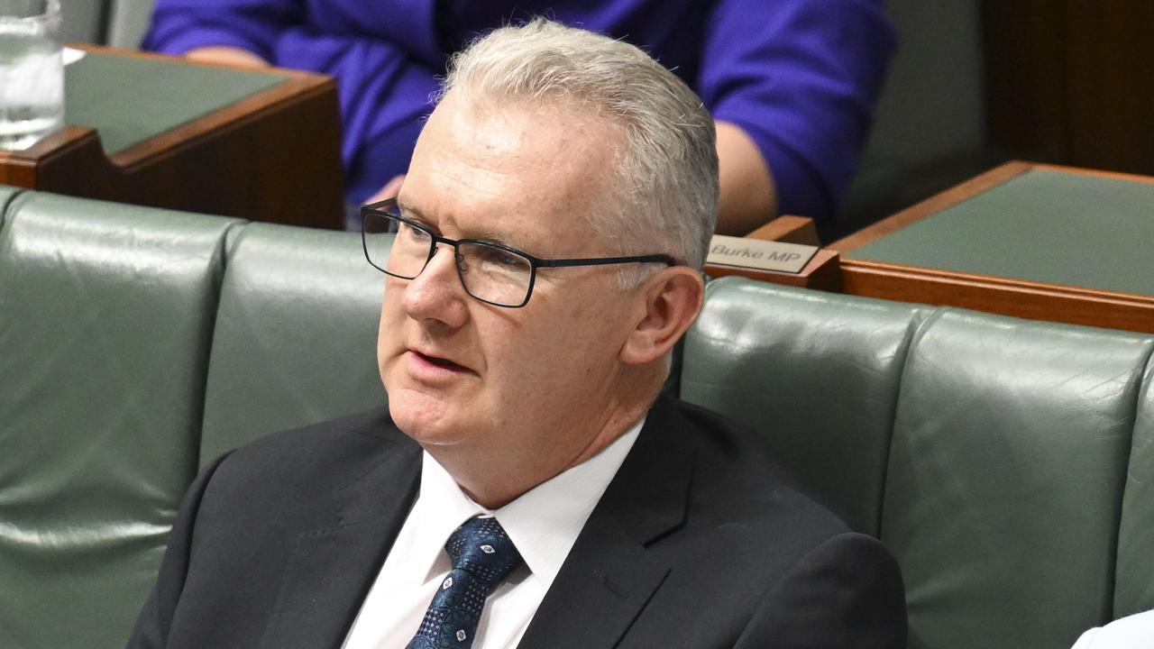 Immigration Minister Tony Burke has been questioned for not immediately intervening in the release of an ex immigration detainee who was convicted of assaulting his wife with a meat cleaver. Picture: NewsWire/ Martin Ollman