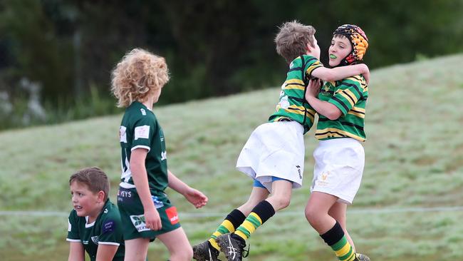 Gordon celebrates a try against Randwick.