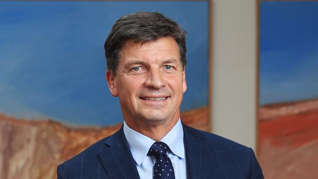 Energy Minister Angus Taylor. Picture: John Feder