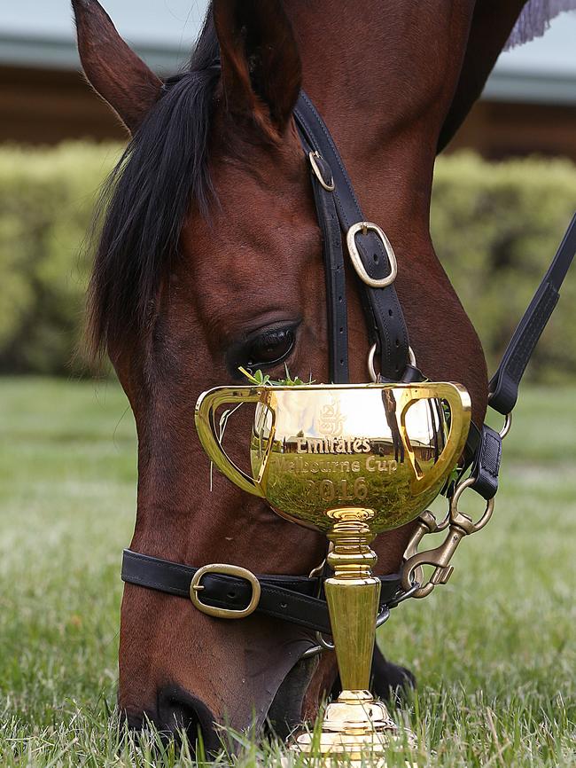 2016 Melbourne Cup winner Almandin. Picture: Ian Currie