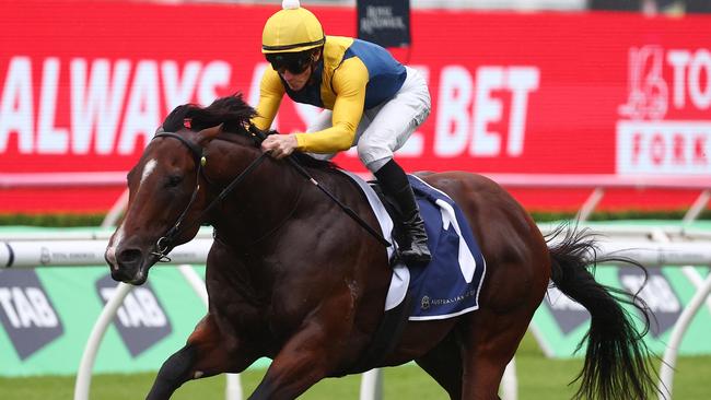 Storm Boy wins the Skyline Stakes en route to the Golden Slipper.