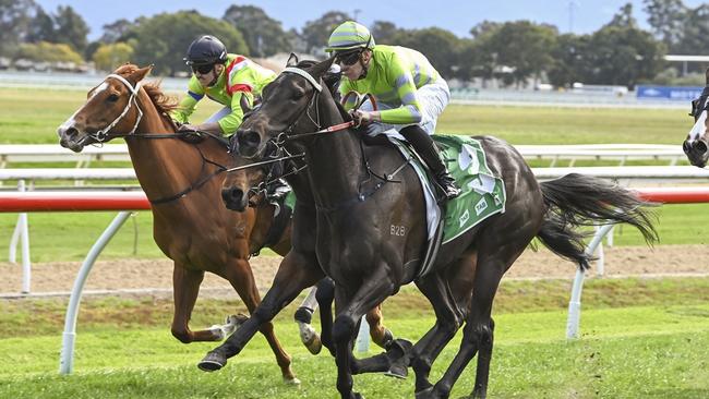 Suay Mam'selle (left) finishing third behind Noises at Hawkesbury. Picture: Bradley Photos