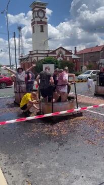 Stanthorpe Apple and Grape Festival grape crush