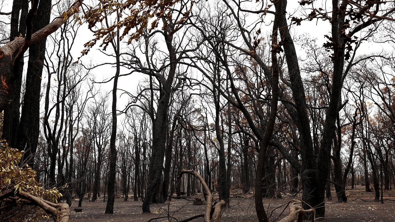 Bushfire damage is seen on Dinsdale Road in Gidgegannup, Perth in 2021. Picture: Getty Images