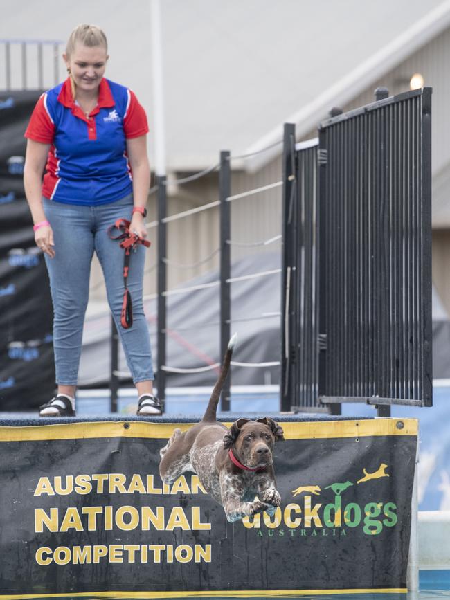 Morgan Rae and Yogi compete in dock dogs. Toowoomba Royal Show. Saturday, April 1, 2023. Picture: Nev Madsen.