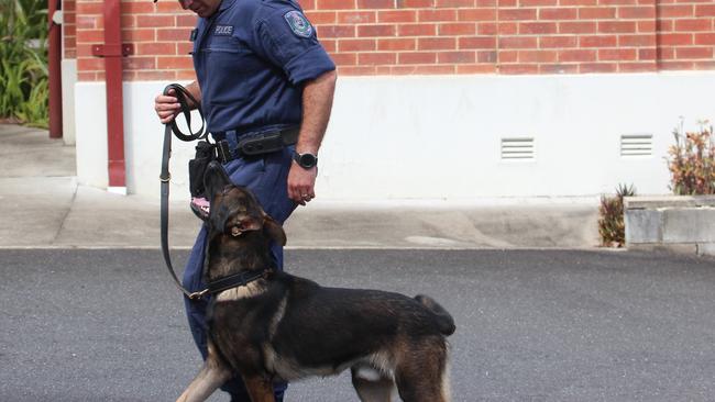 Richmond Police District's police dog Yogi the Belgian Shepherd got a special shout out for his help during the chase.