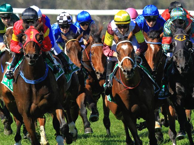 Loving home ridden by Tye Angland  (yellow cap, maroon with yellow armbands) wins race 1 during Scone  Races located in the Upper Hunter Region of NSW. The Bend . Pic Jenny Evans