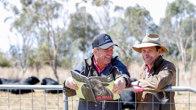 Tom Gubbins and Hamish McFarlane picture at a Te Mania Angus bull sale. Photo: Chloe Smith