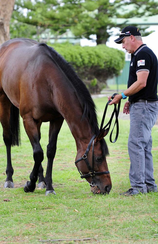 Melbourne Cup winner Protectionist with strapper Bob Bowe after his return to Kris Lees’ Newcastle stables. Picture: Waide Maguire