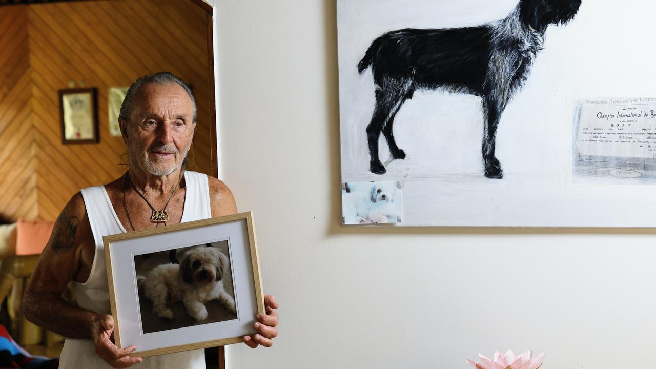 George Karlsson was walking his beloved Maltese Terrier Olle at Clifton Beach when the dog was attacked by two bull mastiffs. Olle later succumbed to his injuries at the Marlin Coast Veterinary Hospital. Picture: Brendan Radke