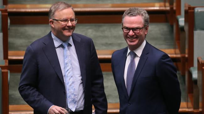 Anthony Albanese and Christopher Pyne in the House of Representatives, Parliament House in Canberra in 2018. Picture Kym Smith