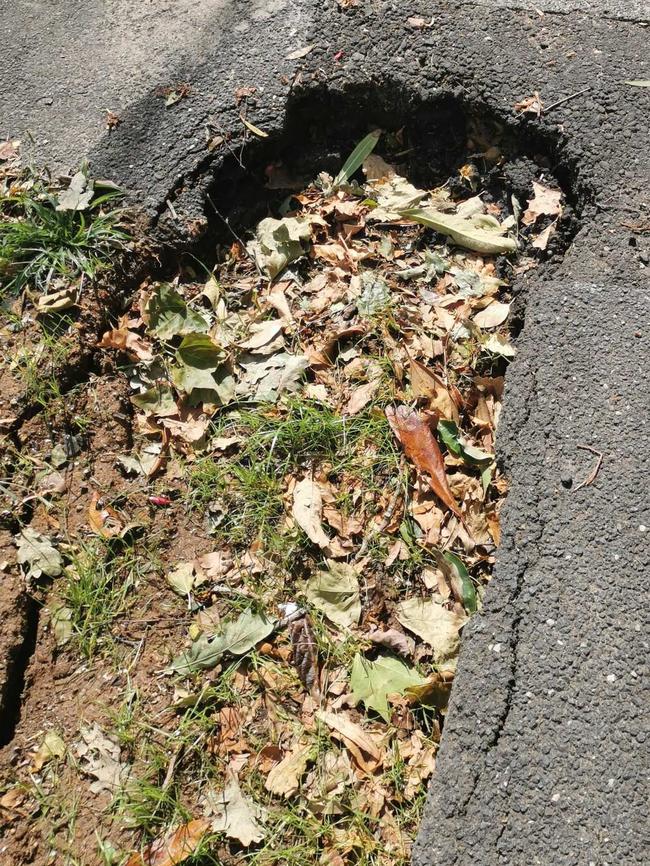 This damage to the footpath in Toorak attracted attention.