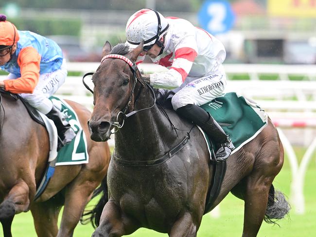 Cifrado wins the Lough Neagh at Eagle Farm: Picture: Grant Peters/Trackside Photography