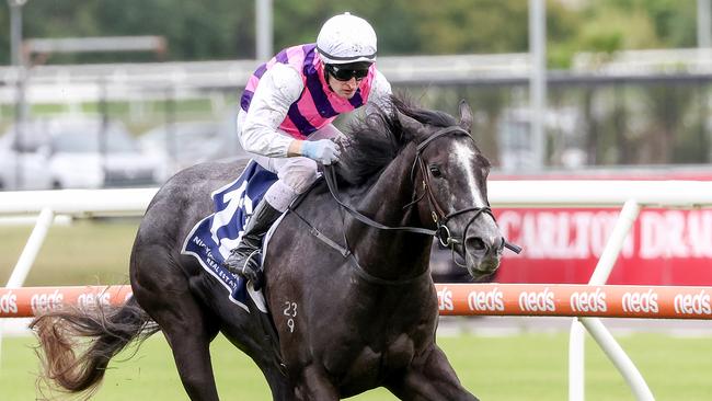 Sghirripa wins the Christmas Stakes at Caulfield. Picture: George Sal-Racing Photos