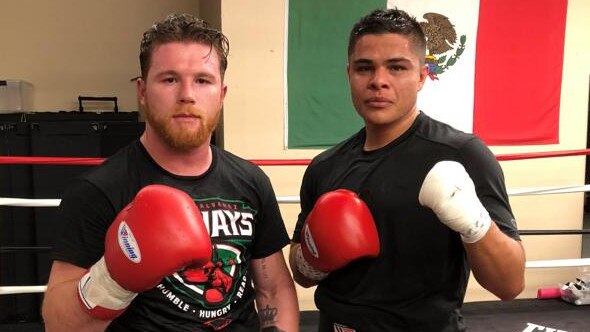 Australian boxer Bilal Akkawy sparring with Canelo Alvarez in LA... Someone he could spar with again if the Bivol fight takes off.