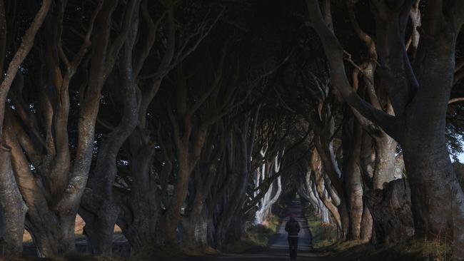 The Dark Hedges in Northern Ireland is off-the-beaten path but worth a look according to Lauren Bath. Picture: @laurenbath