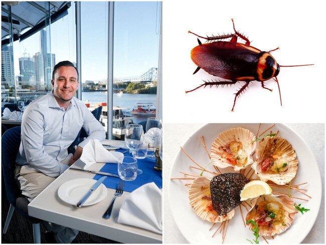 Popular Brisbane restaurant George's Paragon fined for cockroaches