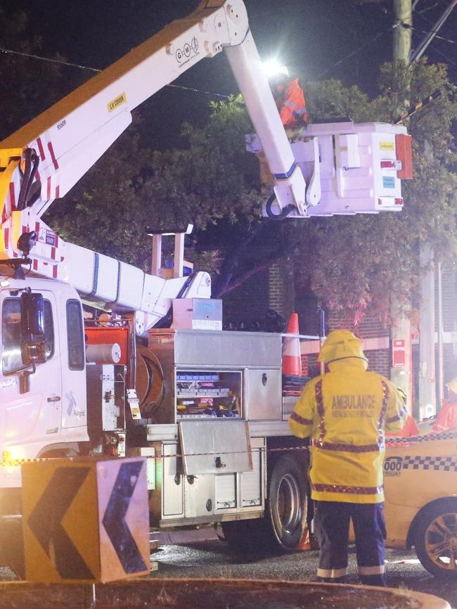 It is unknown what caused the powerlines to fall down. Picture: Steve Tyson 