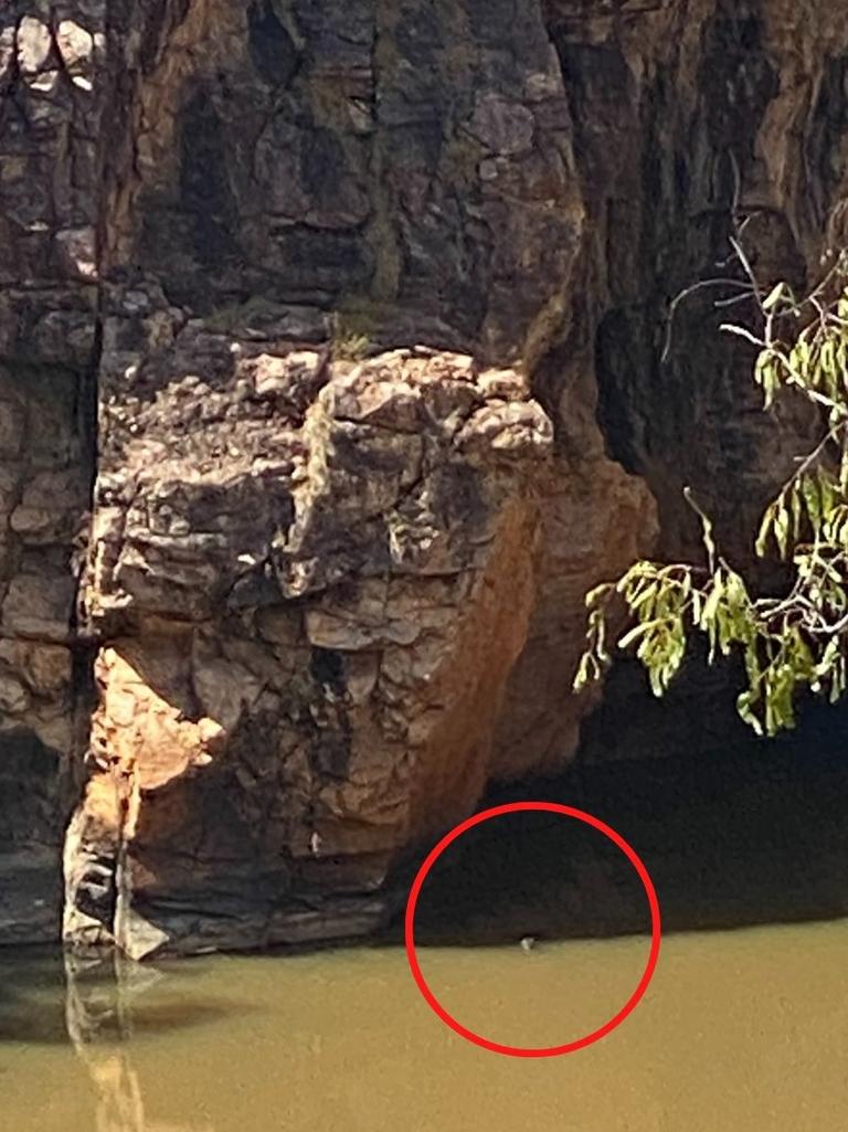 Croc sighting at Butterfly Gorge. Picture: Supplied