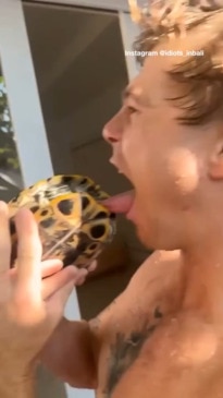 Aussie bloke gets bitten on the tongue by turtle in Bali