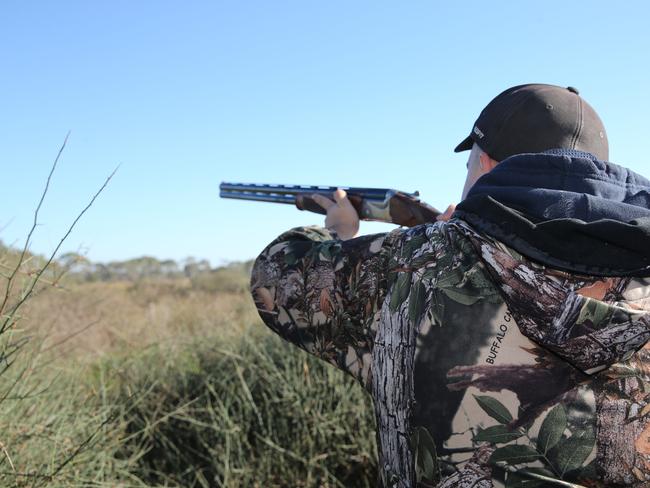 Four key building unions have slammed the duck hunting ban being considered by parliament. Picture: Peter Ristevski