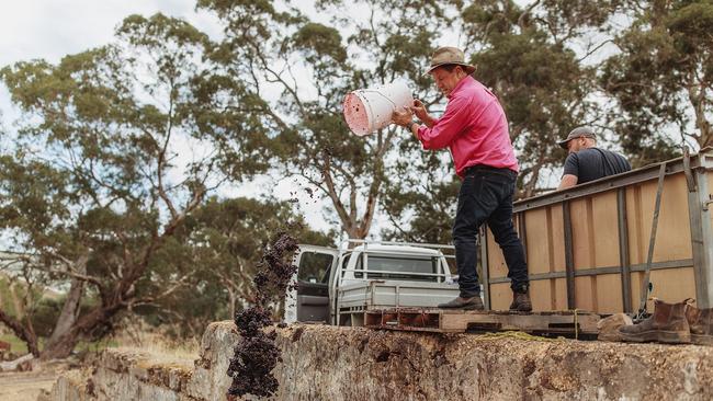 Andrew Hardy at the historic open slate fermenters at the Hardy familys Upper Tintara Winery. Picture: Lewis Potter