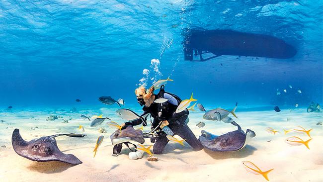 8. Dive in the Red SeaEgypt’s relics are widely known, but what might surprise you are the country’s dazzling beaches, reefs and world-class diving. Keith recommends Basata Eco-Lodge, north of Nuweibá.“This place has iron-clad eco-credentials and a communal vibe. It’s the only place I’ve come across in Egypt that offers discounts for solo female travellers,” she says. “You can stay in a traditional palm-frond hut right on the beach or in one of the mud-brick chalets built with the environment in mind. In the morning, snorkel around coral reefs in the peaceful waters, just steps from where you slept.“I loved diving in Marsa Alam with Red Sea Diving Safari. Few travellers make it this far south, but it’s truly worth the trek,” says Keith. “We saw tonnes of marine life including a dugong, several sea turtles, a huge pod of spinner dolphins and so much more. Red Sea Diving Safari has its own house reef and domed rooms a short walk from the beach. For coral reefs, I love Ras Mohammed National Park, the walls of corals in a kaleidoscope of colours are unforgettable.”
