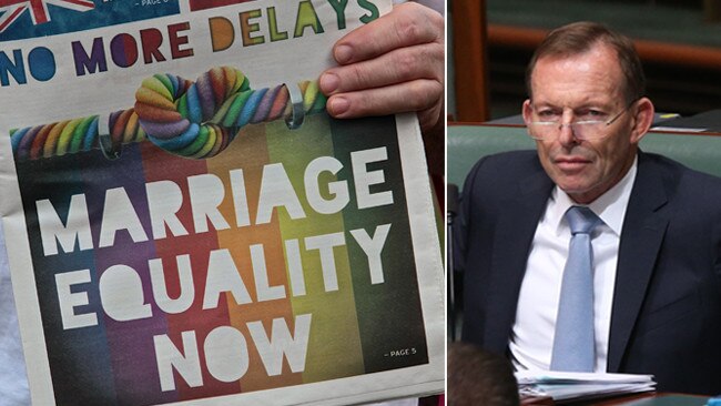 The bullies of the same-sex marriage crusade have played right into the hands of former prime minister Tony Abbott.