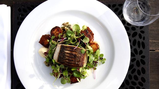 Wild kingfish served at Lochiel House at Kurrajong in northwestern Sydney.